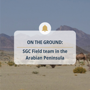 Website News_Arabian Peninsula