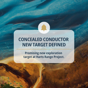 New Frontier Minerals New Target Defined